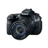 Canon 60D