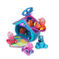 Xia-Xia Hermit Crabs