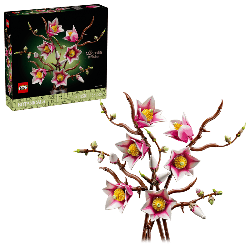 Magnolia Branches (11510)