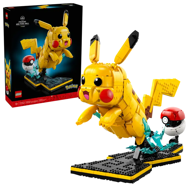 Pikachu and Poke Ball (72152)