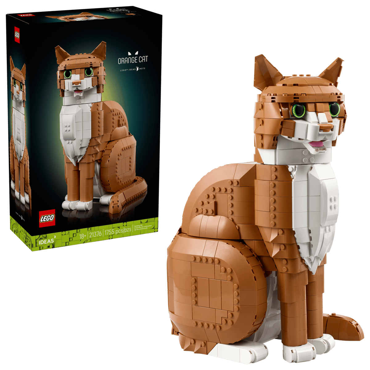 Orange Cat (21376)