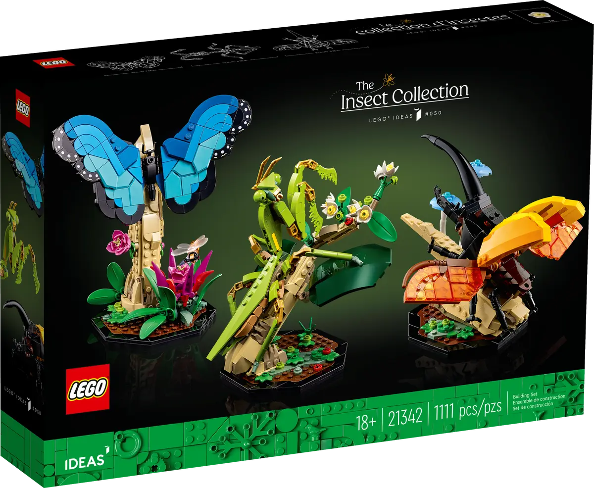 The Insect Collection Box Image